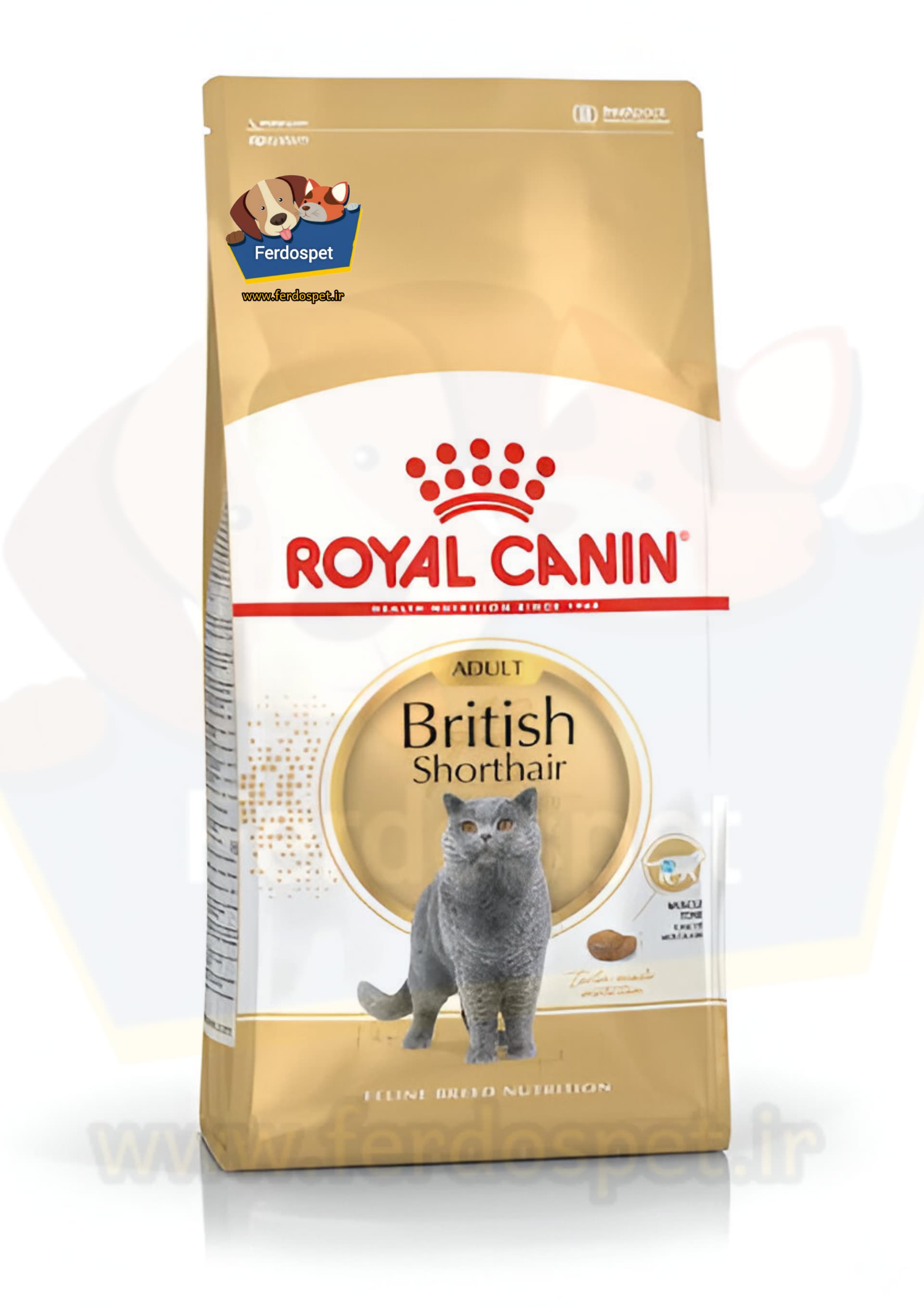 غذای خشک گربه بریتیش شورت هیر Royal Canin – وزن ۲ کیلوگرم