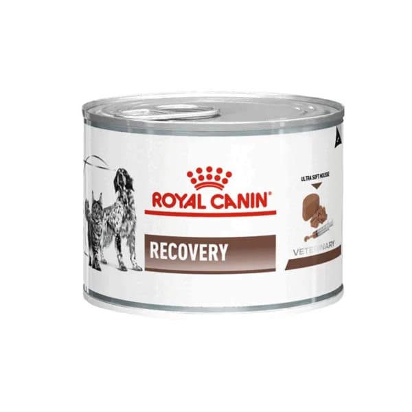غذای کنسرو ریکاوری سگ و گربه رویال کنین (Royal Canin Recovery Wet) وزن 195 گرم