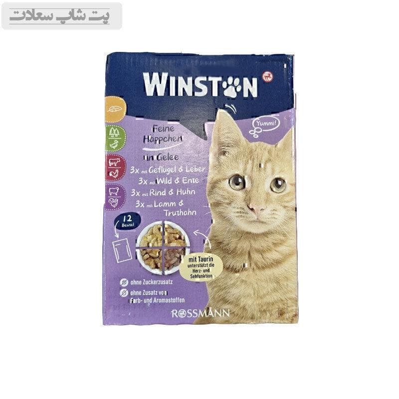 پوچ گربه وینستون در ژله ساده Winston In Jelly Pack مجموعه 12 عددی