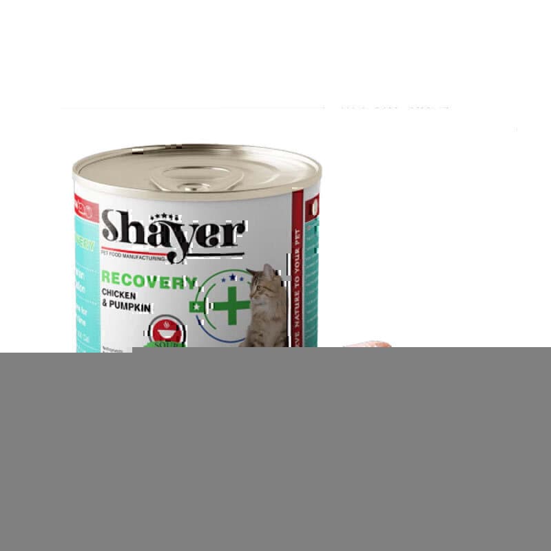 کنسرو سوپ ریکاوری گربه مرغ و کدوحلوایی شایر Shayer Recovery Soup With Chicken & Pumpkin وزن 300 گرم