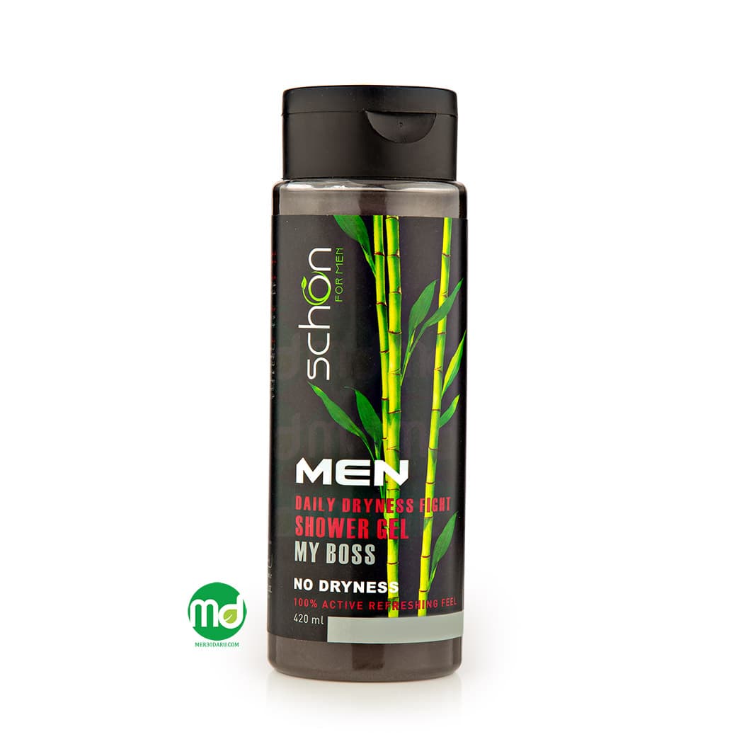 شامپو بدن مردانه شون مدل My Boss برای پوست خشک 420ml