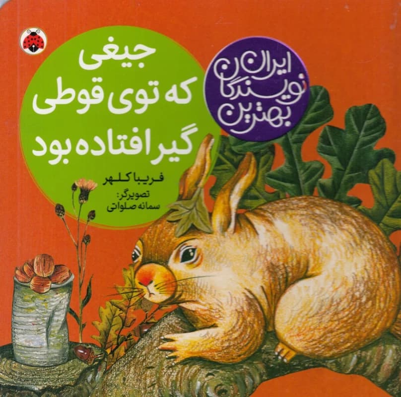 کتاب بهترین نویسندگان ایران- جیغی که توی قوطی گیر افتاده بود نشر شهر قلم