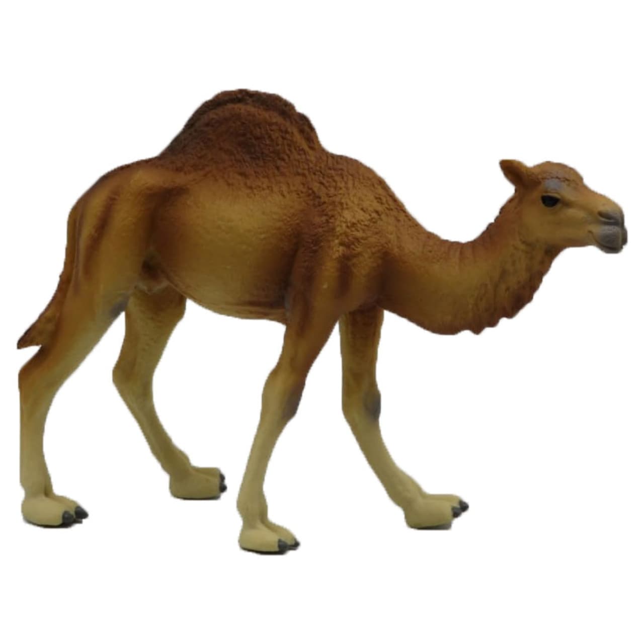 فیگور مدل شتر کد 1