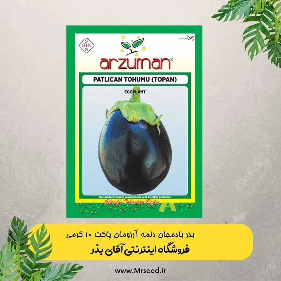 بذر بادمجان دلمه آرزومان