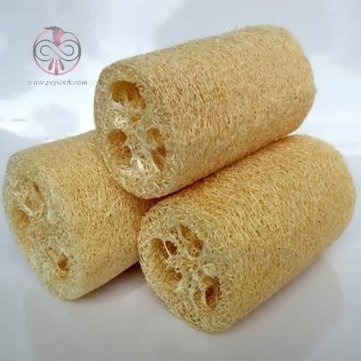 بذر گیاه لوفا (لیف طبیعی)