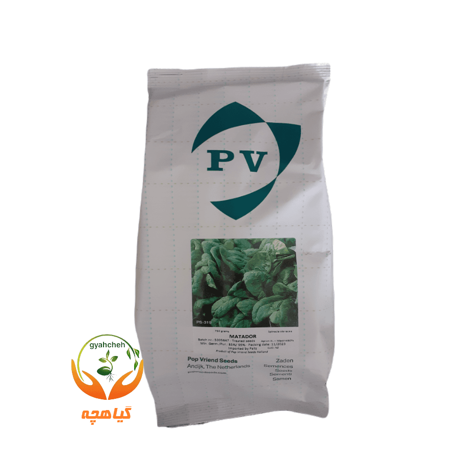 بذر اسفناج ماتادور پوپ 750 گرمی | Matador POP 750g