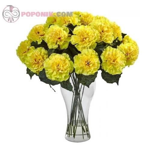 بذر گل میخک زرد
