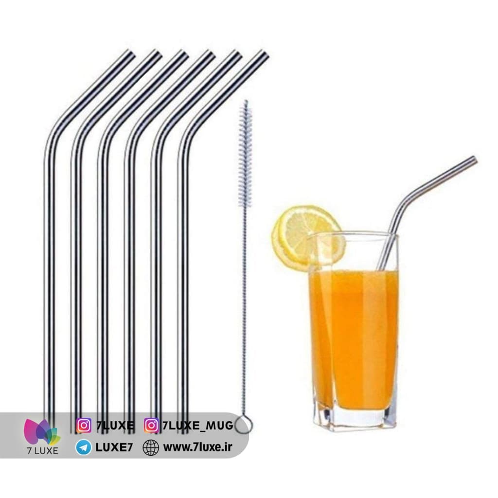 نی استیل 6 عددی + نی شور