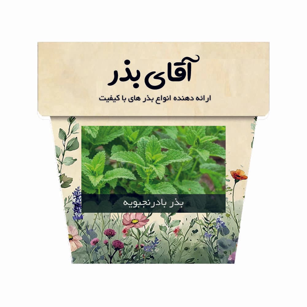 بذر گیاه دارویی بادرنجبویه