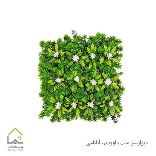 دیوار سبز مدل داوودی،آناناسی