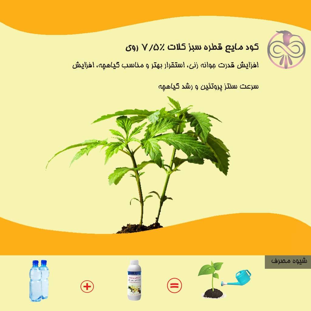 کود مایع قطره سبز کلات 7/5% روی