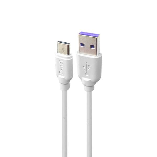 کابل USB به Type-C پی نت مدل PT.200 طول 1 متر