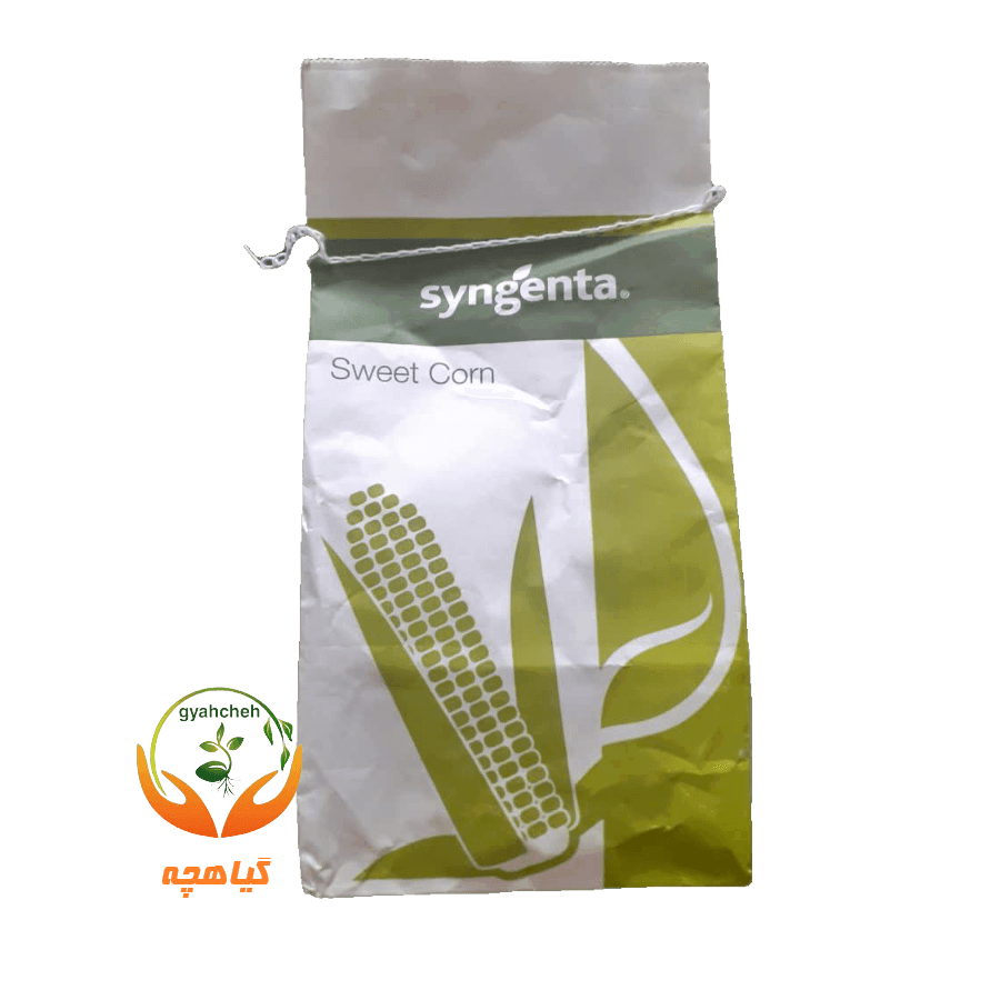 بذر ذرت سوپر سوئیت اکسشن سینجنتا | super sweet corn Accession syngenta